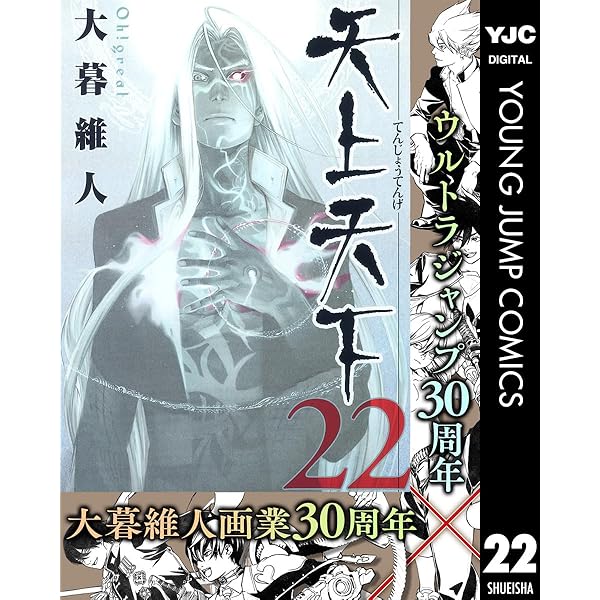 天上天下 15巻21巻22巻ドレスアップクリアカバー　 大暮維人 天上天下 15巻21巻22巻ドレスアップクリアカバー 大暮維人