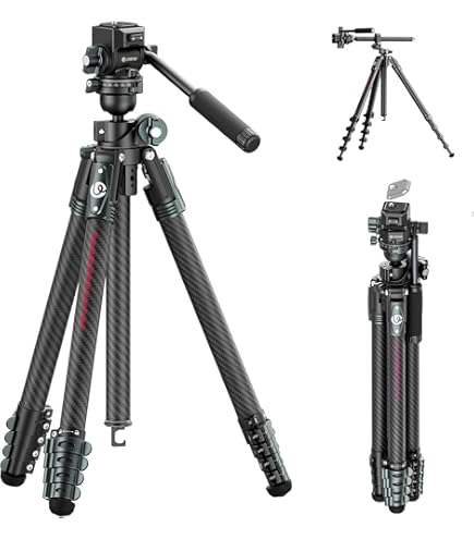 Amazon | GITZO オフセンターボール 雲台 3型 ネジ式 G1375M