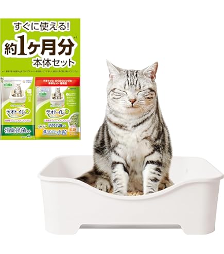 Amazon.co.jp: あのちゃん ano 猫猫吐吐 トレーディング カード AIDA