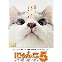 Amazon.co.jp: にゃんこ THE MOVIE 4 [DVD] : 綾瀬はるか, 松本武, 森