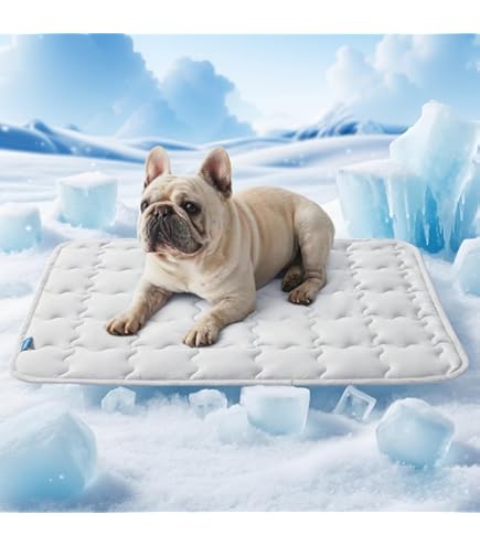 Amazon | ペット ひんやりマット 冷却シート 犬 ワンちゃんの体温を
