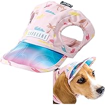 Amazon | 【LIFELIKE公式】サーフサンバイザーキャップ 犬 帽子 耳だし 