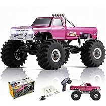 【FMS】 fcx24 スマッシャー カスタム　メタルパーツ多数　1/24 RC FMS】 fcx24 スマッシャー カスタム メタルパーツ多数 1/24 RC