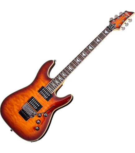 Amazon | SCHECTER (シェクター) エレキギター OMEN EXTREME-6 FR VSB