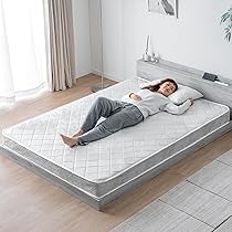 Amazon｜タンスのゲン ベッド シングル スチール パイプベッド 2口