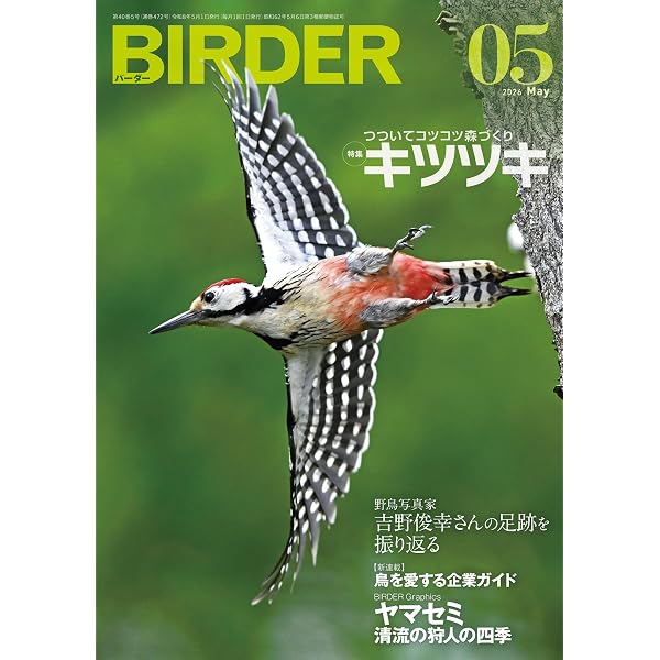 BIRDER (バーダー) 2023年 06月号 [雑誌] | BIRDER編集部 | 趣味