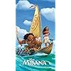 半神マウイ,モアナ・ワイアリキ ディズニー - 半神マウイ,モアナ・ワイアリキ XFVGA(480×854)壁紙 67120