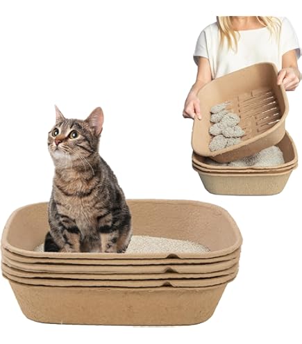 Self Cleaning Litter Boxes For Cats 3-Tray Sifting Cat Litter Box   Self-Cleaning, No Scoop Needed, Reusable Litter Pan For Cats & Small Pets  Speedy Sift