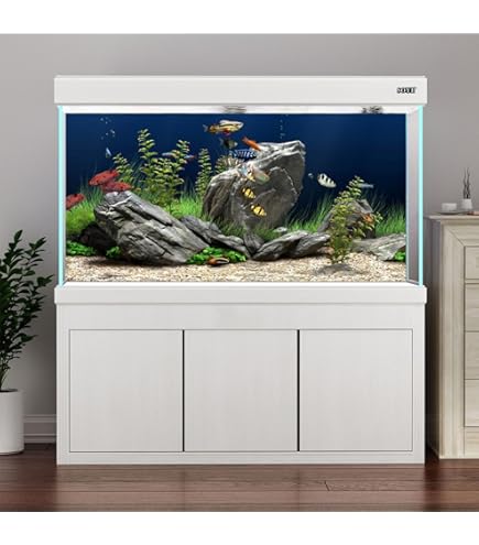 Amazon | AQUAGraphiX 水槽バックスクリーン AG-002 海底 60cm用