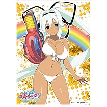 閃乱カグラ PEACH BEACH SPLASH 紫 エンスカイ　スリーブ 閃乱カグラ PEACH BEACH SPLASH 紫 エンスカイ スリーブ