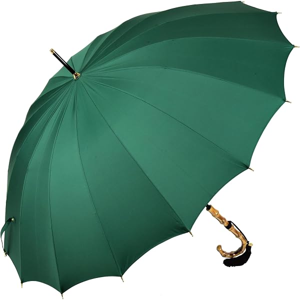 Amazon | 傘 レディース 長傘 前原光榮商店 カーボン 16本骨 高級 雨傘