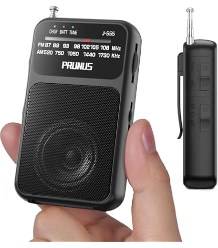 Amazon.co.jp: Panasonic RF-P150 FM ポータブルポケットスピーカー