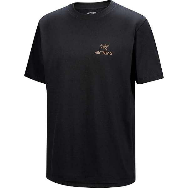 Amazon.co.jp: L'Arc-en-Ciel限定BIG 旧ロゴ Tシャツ 黒
