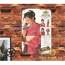 Amazon.co.jp: 【昭和の風情】中森明菜 昭和初期 写真ブリキ看板