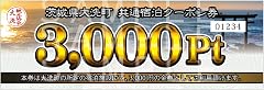 大洗町 共通 宿泊 クーポン 3,000円分×1枚 関東 茨城