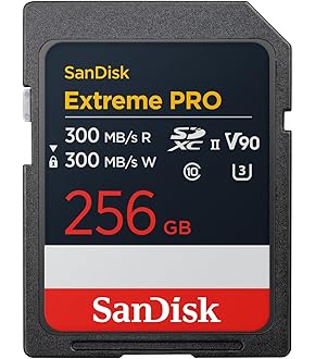 Amazon | SanDisk 4TB Creator Pro ポータブル SSD - 最大2000MB