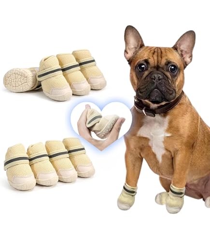 Amazon.co.jp: 犬用クロックス春夏レインブーツペット用品ゴールデン