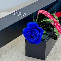 Amazon｜cafura 【一輪のバラ】プリザーブドフラワー 枯れない花 高級