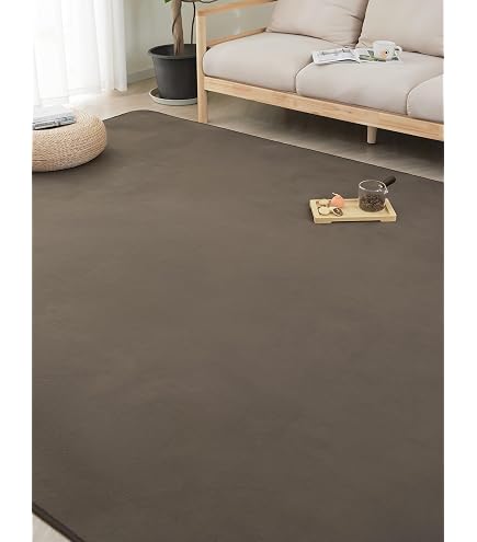 Amazon | 日本製 ダニ・エスケープラグ 200×250cm 防ダニ アレルギー