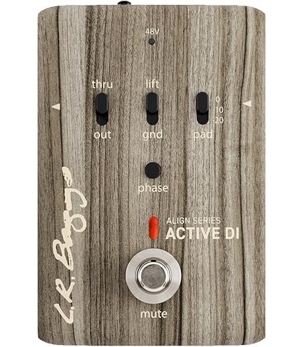 Amazon | L.R.Baggs (エルアールバックス) アコースティックギター用