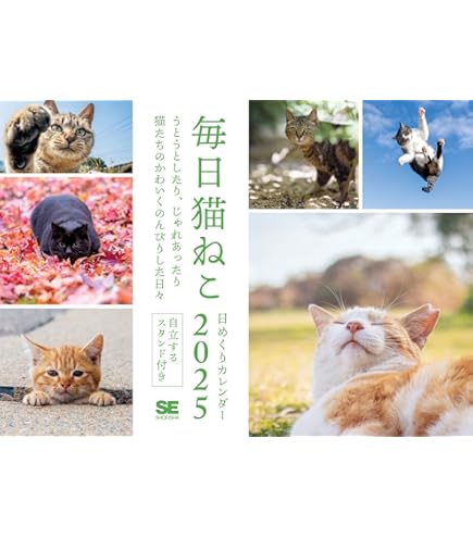 Amazon | 日めくりニャンコ！2025年(卓上日めくりカレンダー猫版) 本体