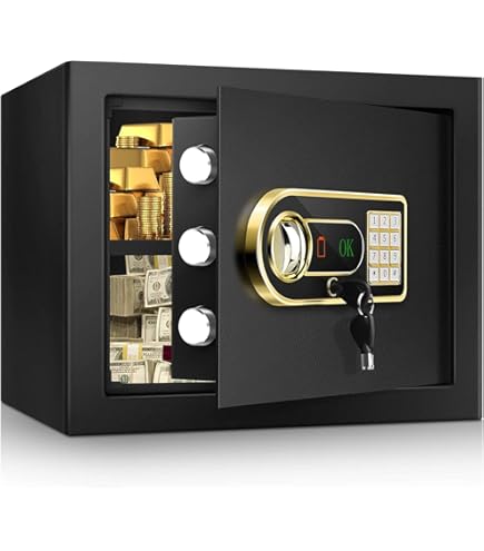 Amazon.co.jp: SentrySafe HD2100 耐火金庫 防水金庫 キーロック付き