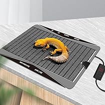 爬虫類飼育セット　暖突ほか Amazon | 【高温版58-65℃で極寒地でも使用可能】TANKAO 爬虫類