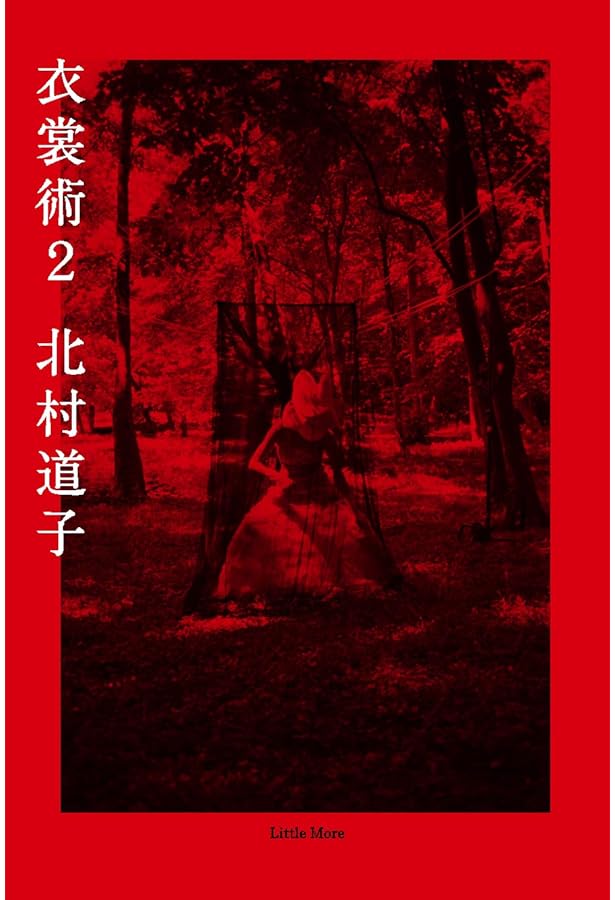 北村あや子、【風に佇つ】、希少な額装用画集より、新品額装付、状態良好 北村あや子、【風に佇つ】、希少な額装用画集より、新品額装付、状態良好