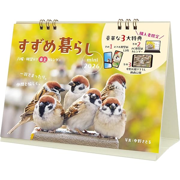 にっぽんスズメ日誌 | 中野さとる |本 | 通販 | Amazon