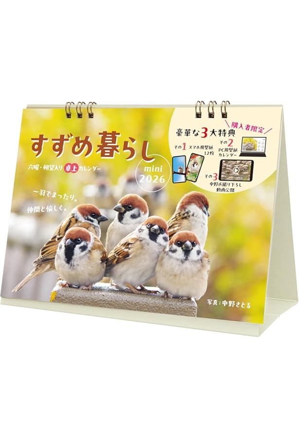 にっぽんスズメ日誌 | 中野さとる |本 | 通販 | Amazon