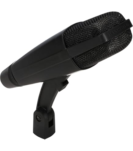 AKG D112 MkII ダイナミックマイク Amazon.com: AKG D112 MkII Professional Bass Drum Microphone