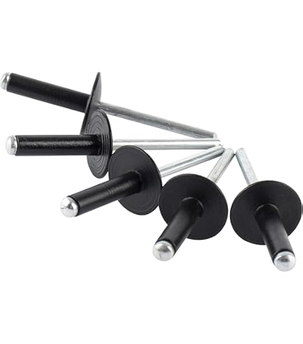 Amazon.co.jp: ロブテックス ラージフランジブラインドリベット(150本