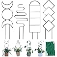 Wellsign Indoor Plant Trellis for Climbing Plants, 16inch Small Garden Metal Potted Plants Outdoor with Different Patterns Vi