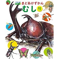 Amazon.co.jp: せかいのりょうり (小学館の図鑑NEO まどあけず