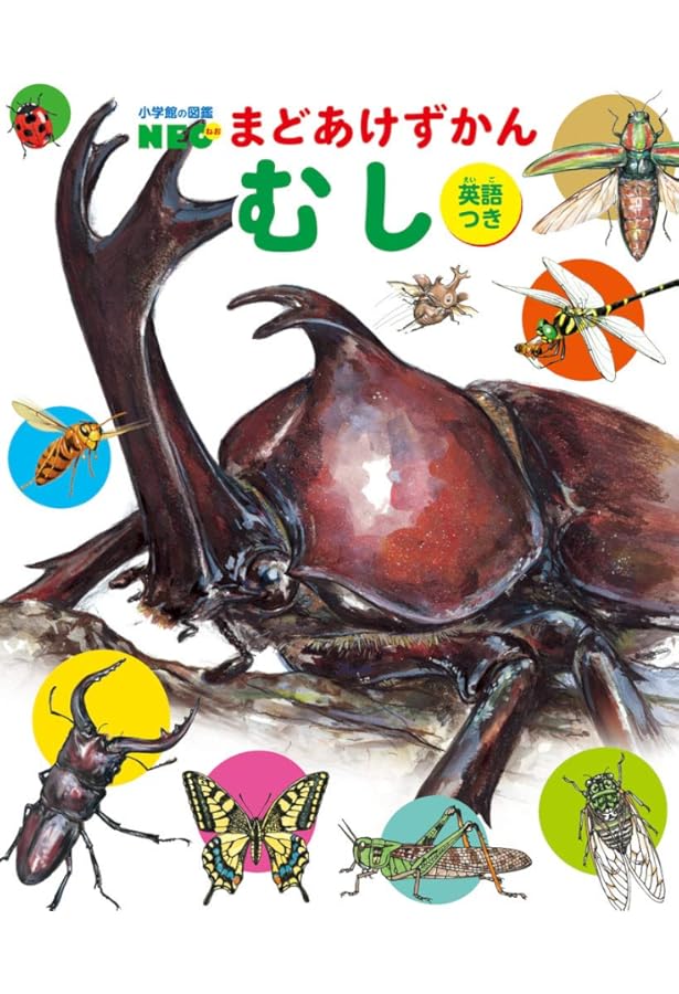 まどあけずかん 4冊セット |本 | 通販 | Amazon