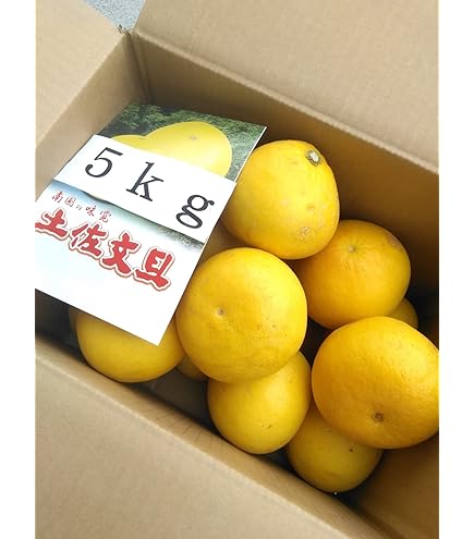 Amazon.co.jp: 【中玉サイズ】【ご家庭用】高知特産 土佐文旦 2L～L