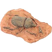 71dca5iqtYL._AC_UL210_SR210,