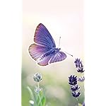 チョウ(蝶) FVGA(480×800)壁紙 Schmetterlinge 2023: Kalender チョウ(蝶) FVGA(480×800)壁紙 Schmetterlinge 2023: Kalender