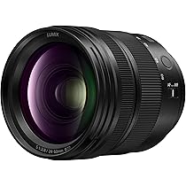 【31日まで掲載！極美品】Lマウント　LUMIX S 24-60mm F2.8 31日まで掲載！極美品】Lマウント LUMIX S 24-60mm F2.8 31