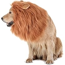lion mane small dog