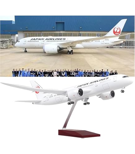 ソラシドエア Boeing737-800 1/100 模型飛行機　くまモン SNJ1001 EVER RISE Solaseed Air / ソラシド エア B737-800W