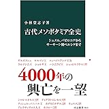 古代メソポタミア全史　シュメル、バビロニアからサーサーン朝ペルシアまで (中公新書)