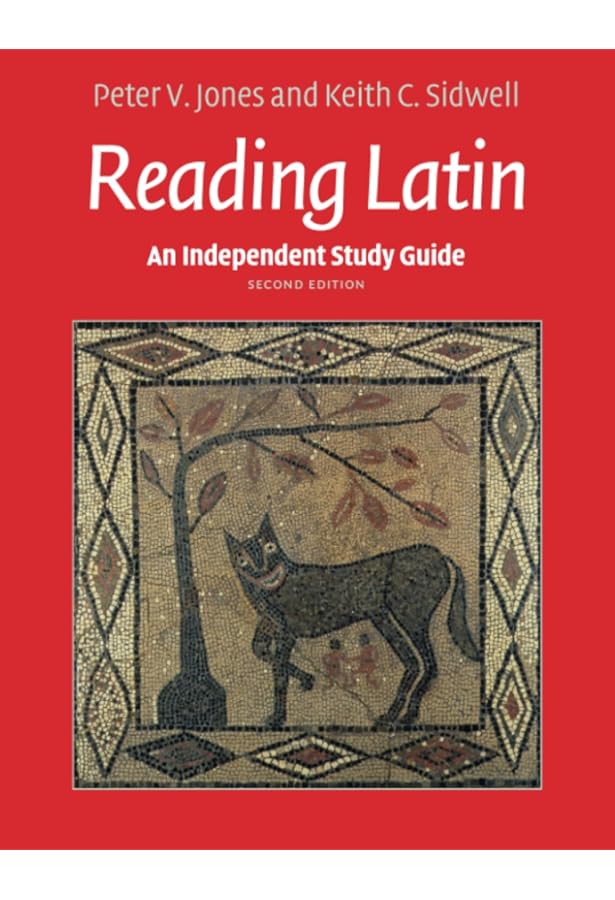 洋書 LATIN 610OgXZCVjL._AC_UF350,