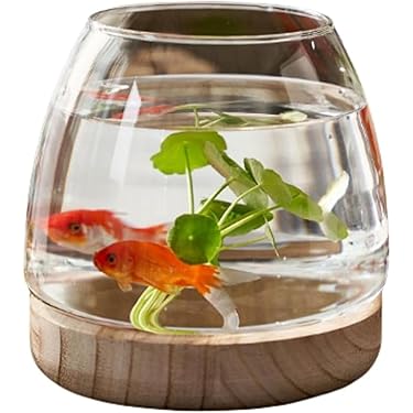 金魚鉢 ガラス 鉢 Adam&Eve 金魚鉢 ガラス 鉢 Adam&Eve 楽天市場】金魚鉢（水槽