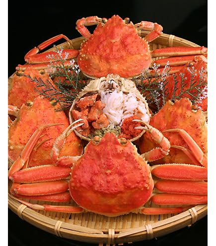 Amazon.co.jp: カニカマ花咲タイプ 500g : 食品・飲料・お酒