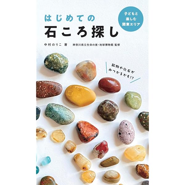 いい感じの石ころを拾いに (中公文庫 み 53-1) | 宮田 珠己 |本 | 通販