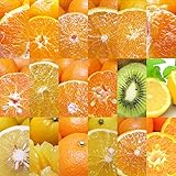 福袋 Smile Orange 店長が選んだ旬の柑橘福袋 訳あり ご家庭用 サイズ不揃い みかん 愛媛みかん 詰め合わせ 果物 愛媛産 国産 柑橘 柑橘類 フルーツ 蜜柑 (16kg(常温便))