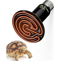 SK♡送料込 ほぼ新品未使用 BEETRONICS SEABEE Z-FLEX / Z-SPEED BEARINGS ABEC7 - FESN / LIBE BRAND UNIVS.