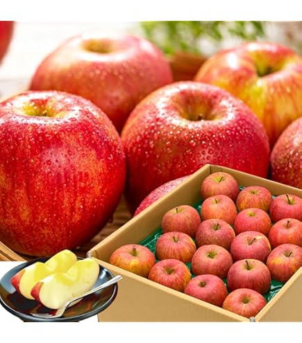 Amazon.co.jp: りんご 訳あり 青森県産 約 5kg (13～20玉) 葉とらず