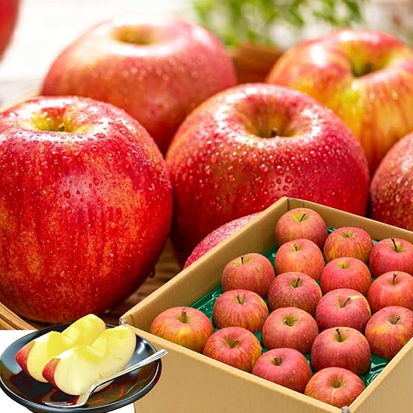 Amazon.co.jp: ご家庭用 青森県産 サンふじ りんご 5kg ふじりんご 訳